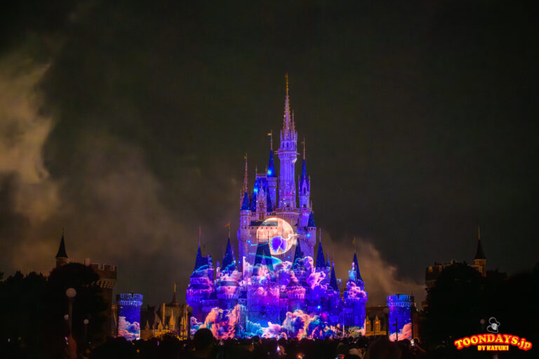 TDL Reach for the Stars リーチ・フォー・ザ・スターズ 15