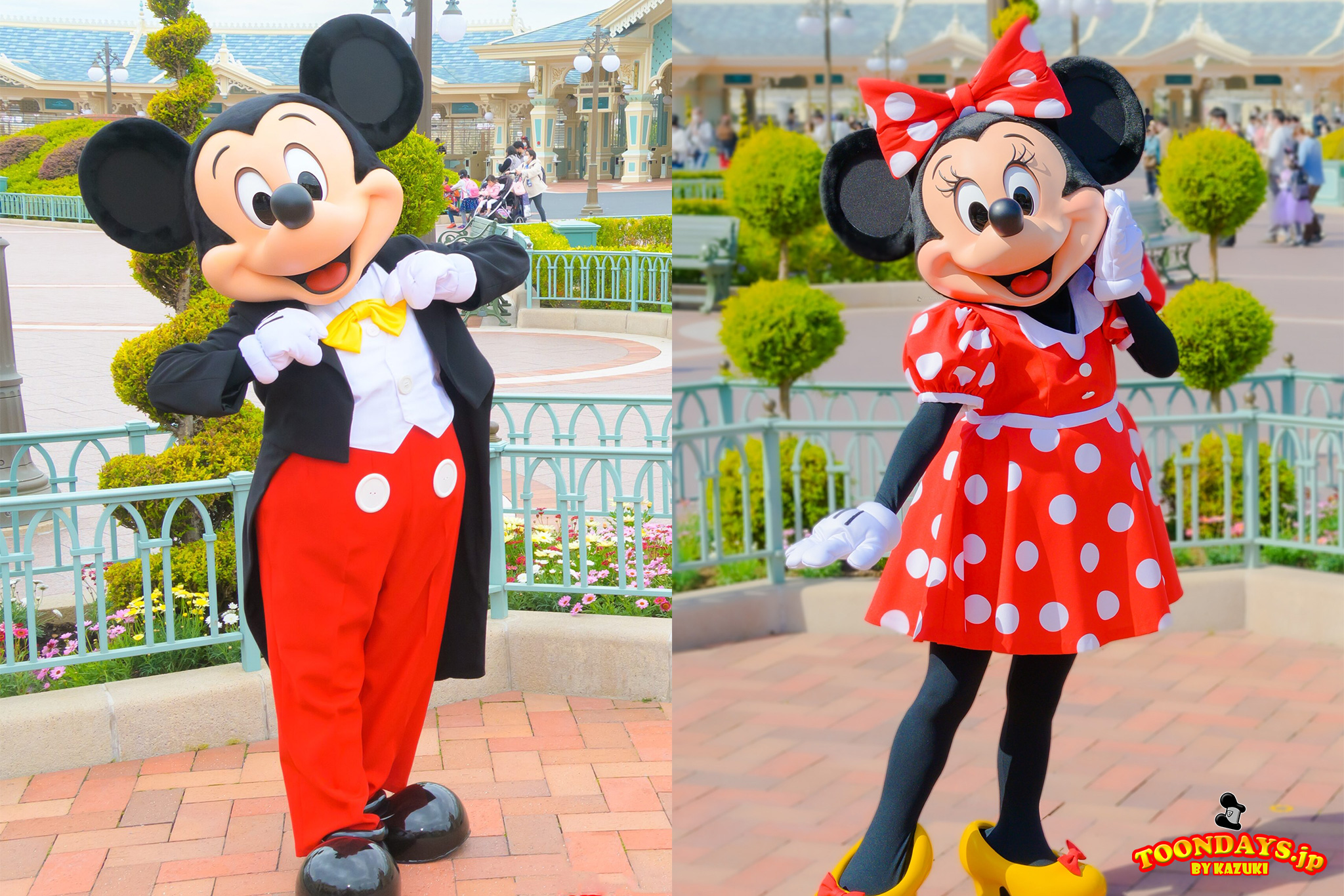 TDL エントランス メインストリート・ハウス前（キャラクターグリーティング）　整列グリーティング ミニーマウス ミッキーマウス 2