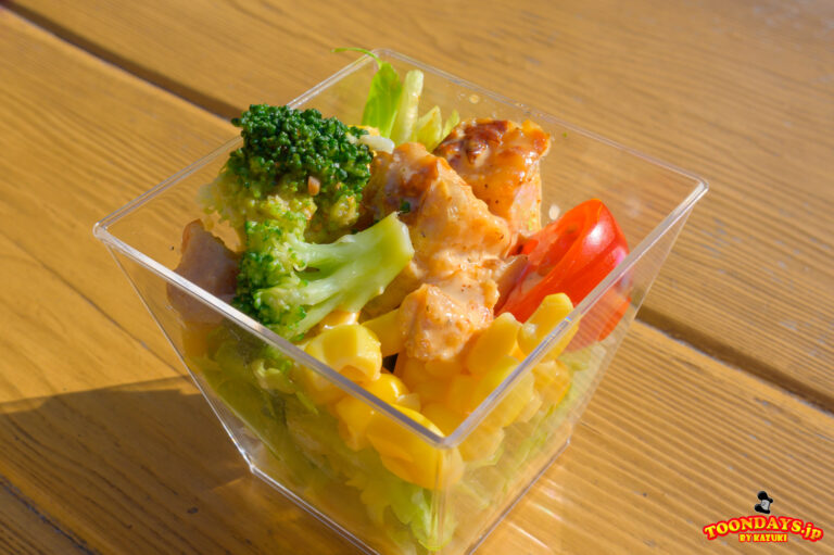 サラダ<ダッフィーのスペシャルセット(ビーフ/シーフード)>