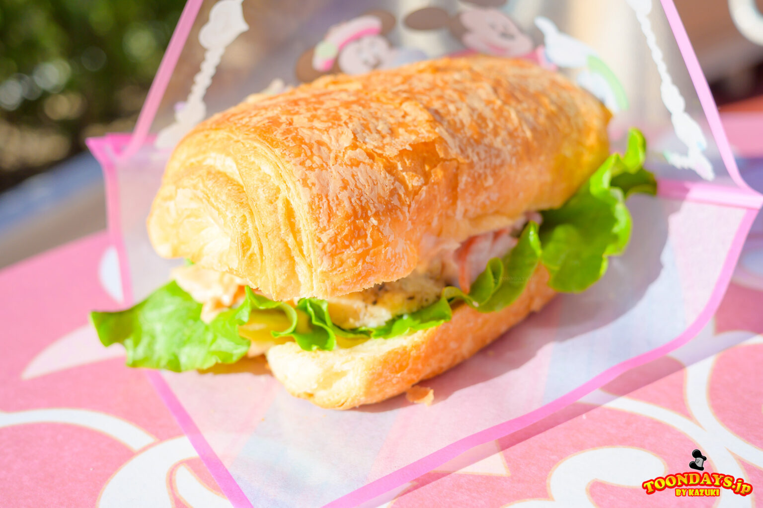 【食レポ】たっぷりの野菜ラペとチキンがたまらないデニッシュサンド！スウィートハート・カフェ「スペシャルセット」<TDL「ヴァネロペのスウィーツ・ポップ・ワールド2025」>