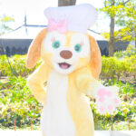 クッキー・アン：黄色い犬のぬいぐるみ＜ダッフィー＆フレンズ＞