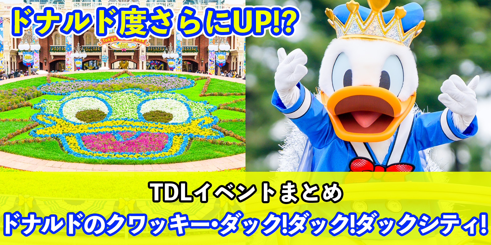 ドナルドダック - ドナルドパルパルーザドナルドクワッキーダックダックダックシティスーベニア 東京ディズニーランド「ドナルドのクワッキー・ダックシティ