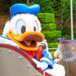 TDL 2025 ドナルドのクワッキー・ダック！ダック！ダックシティ！ ドナルドのバースデーグリーティング 5 ドナルドダック