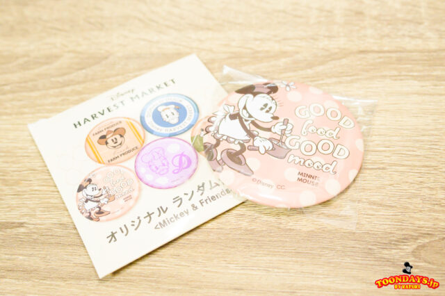 Disney Harvest Market「ディズニーロルカナの世界へようこそ！お茶会＆体験会」