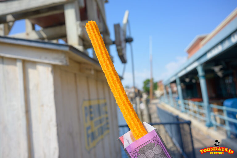 TDS ディズニー・ハロウィーン・グリーティング 2025 チュロス(メイプルパンプキン) 1