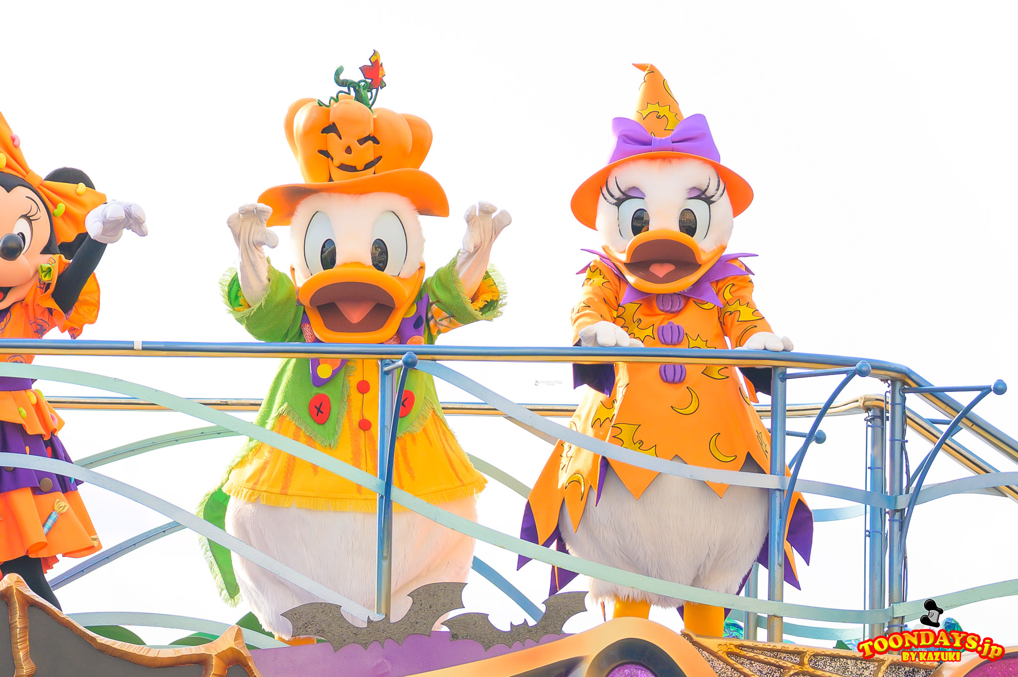 TDS ディズニー・ハロウィーン・グリーティング 2025 ドナルドダック デイジーダック1