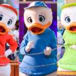 DLP Disney Fandaze ヒューイ・デューイ・ルーイ