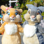 サンパー （とんすけ）ミスバニー TDS アメリカンウォーターフロント 　フリーグリーティング