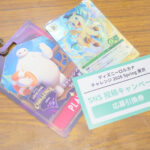 ロルカナ チャレンジ 2026 23