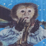 ジャック・ザ・モンキー