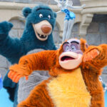 ジャングルブック