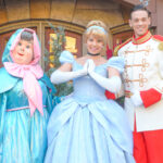 TDL ファンタジーランド フリーグリーティング　フェアリーゴッドマザー シンデレラ プリンスチャーミング