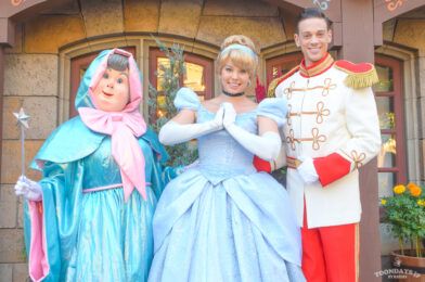 TDL ファンタジーランド フリーグリーティング　フェアリーゴッドマザー シンデレラ プリンスチャーミング