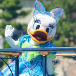 TDS「スパークリング・ジュビリー・セレブレーション」に登場するデイジーダック