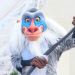 ラフィキ：「ライオン・キング」のヒヒキャラクター