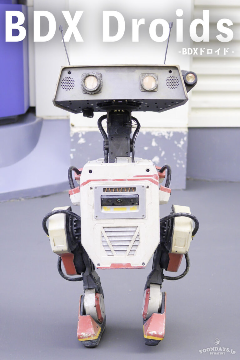 BDXドロイド_プロフィール