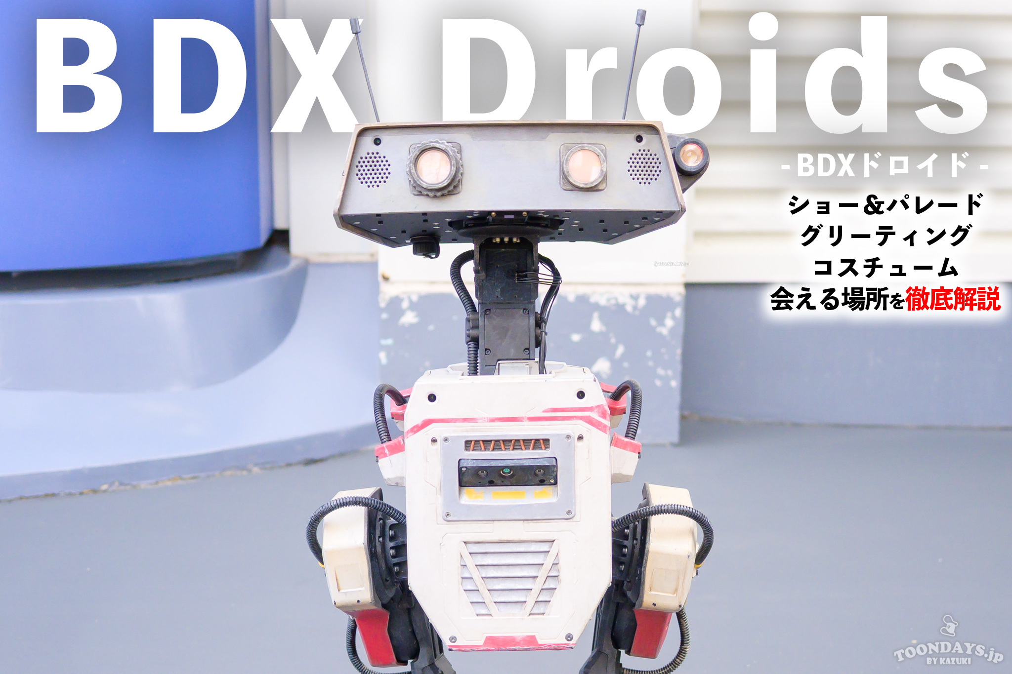BDXドロイド_カード